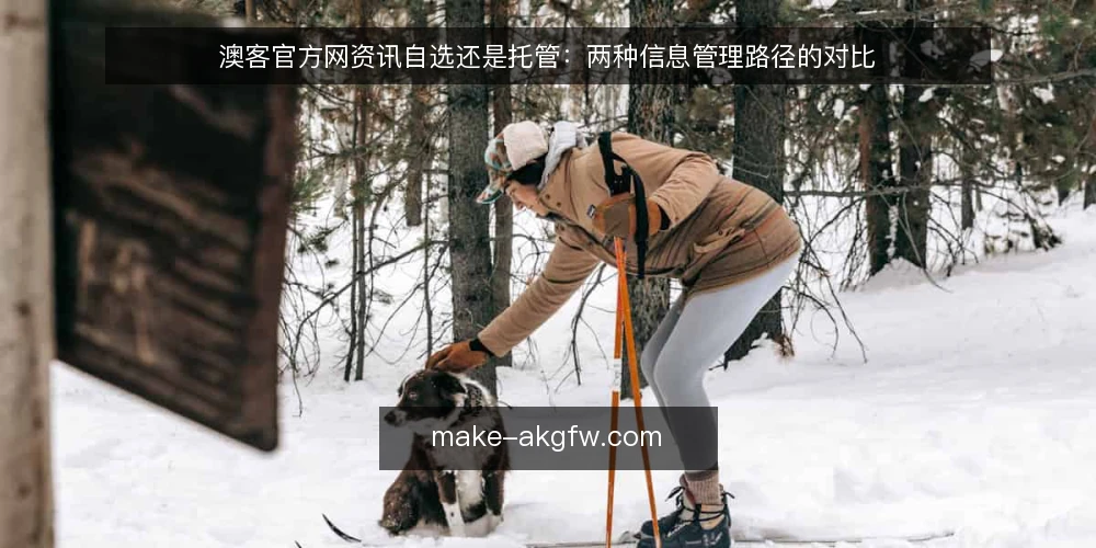澳客官方网资讯自选还是托管:两种信息管理路径的对比 — 两种路径的决策标准 配图